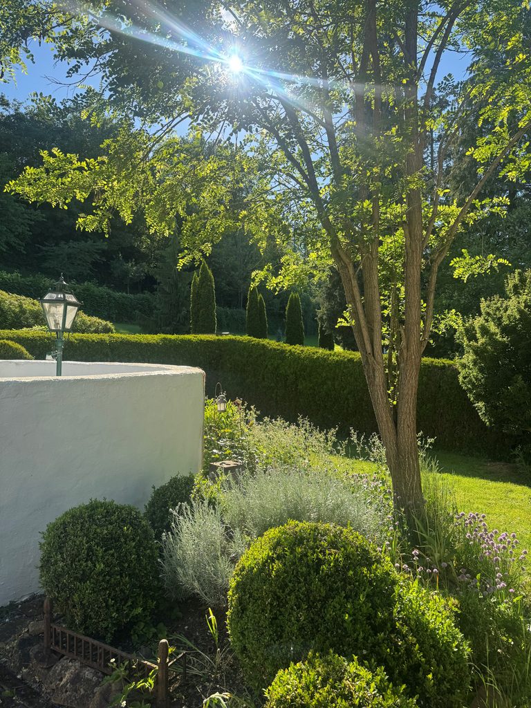 Sunlit garden at Villa Belvedere in Idar-Oberstein